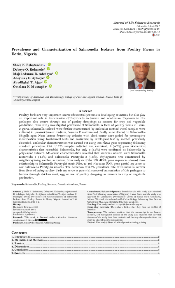 Salmonella life essay 06 image