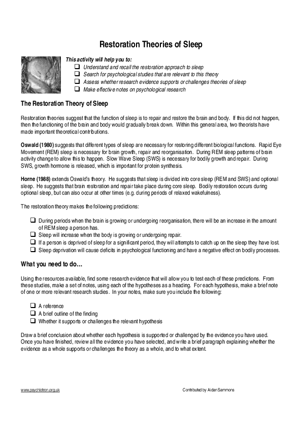 Sleep theories essay image