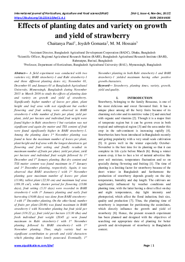 Strawberry spacing image