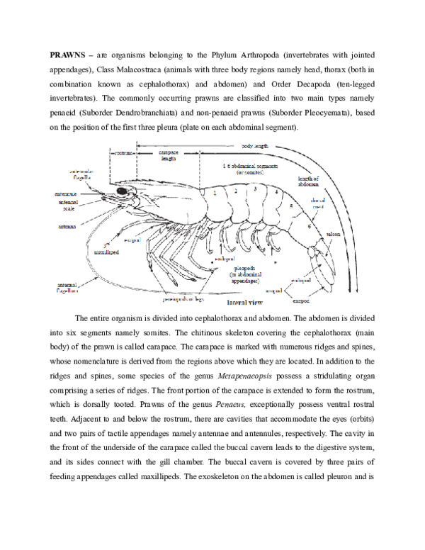 (DOC) MSc dissertation Prawns