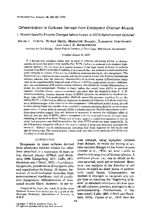 (PDF) Differentiation in cultures derived from embryonic chicken muscle