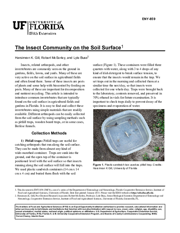 (PDF) The Insect Community on the Soil Surface