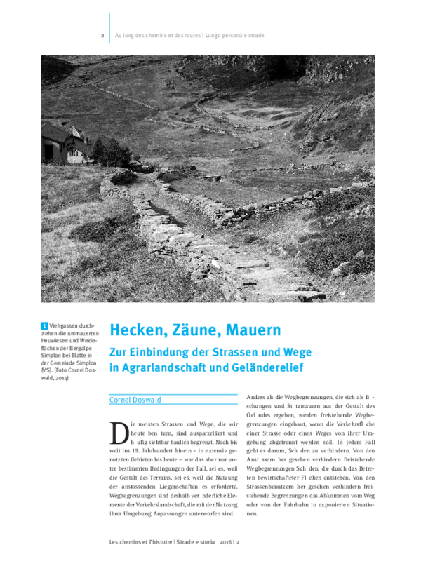(PDF) Hecken, Zäune, Mauern - zur Einbindung der Wege und Strassen in ...