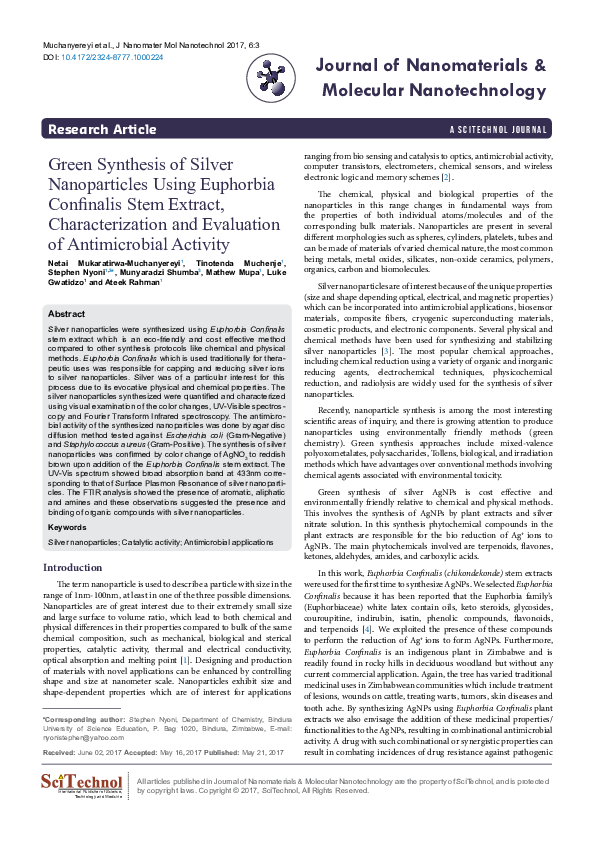 Molecular nanotechnology essay picture