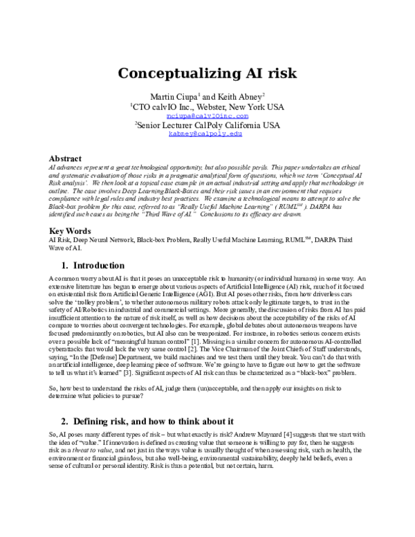 (DOC) Conceptualizing AI risk V10.1.doc