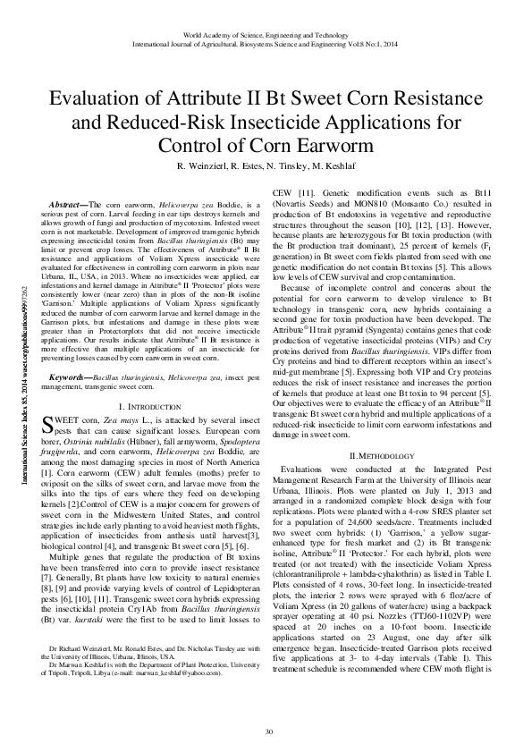 Bt corn history picture