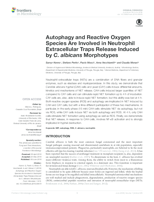 (PDF) Autophagy and Reactive Oxygen Species Are Involved in Neutrophil ...