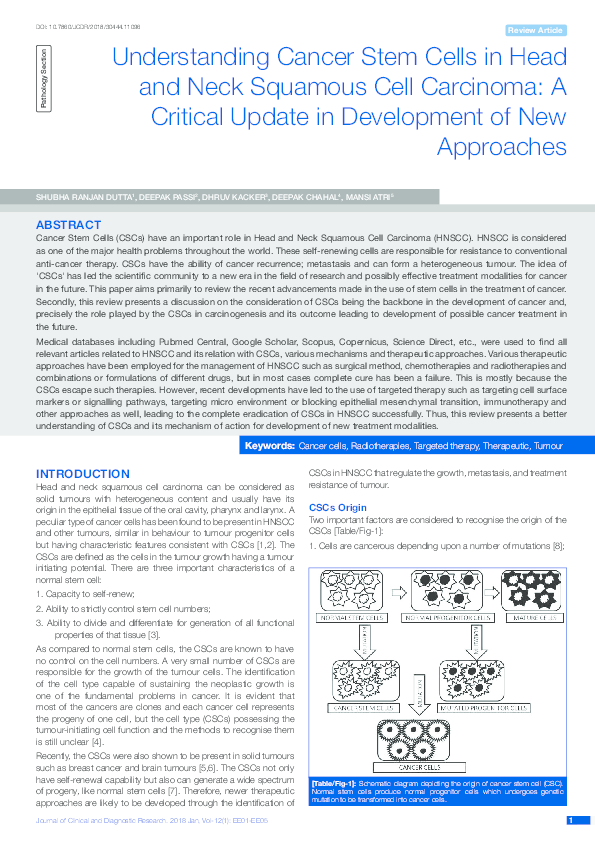 (PDF) Understanding Cancer Stem Cells in Head and Neck Squamous Cell ...