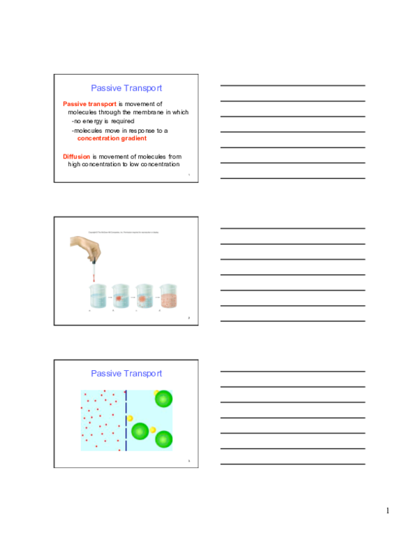 (PDF) Passive Transport Dewi Septiani Academia.edu