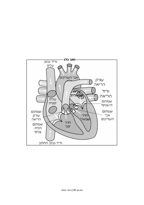 (PDF) מספר חדרי הלב; עיון ספרותי.pdf