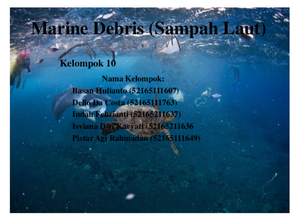 Marine debris tracker image