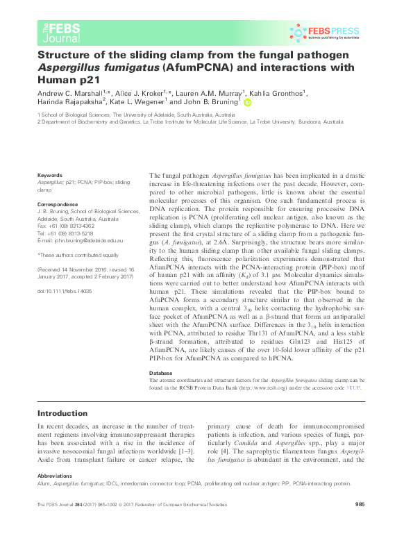(PDF) Structure of the sliding clamp from the fungal pathogen