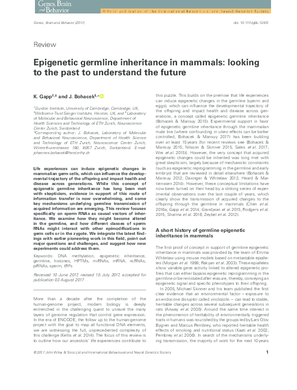 (PDF) Epigenetic germline inheritance in mammals: looking to the past ...