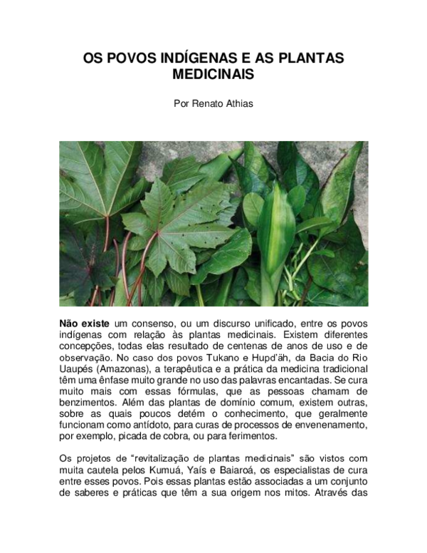 (PDF) Plantas Medicinais e os Povos Indígenas (Revista Continente Multicultural) Renato Athias