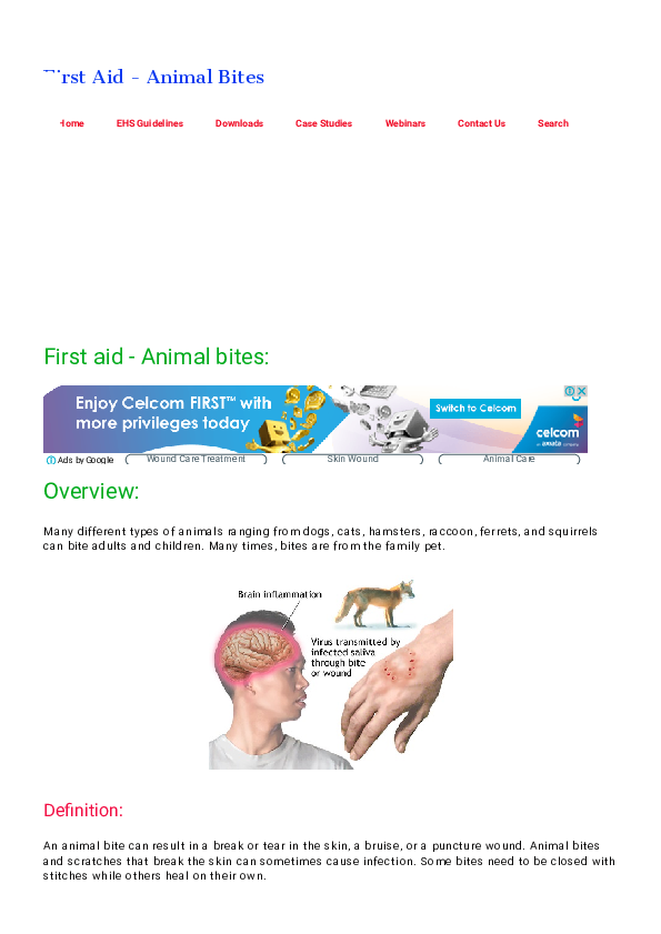 Animal visual data 8