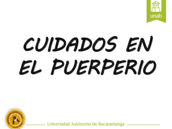 Alimentacion en el puerperio ppt