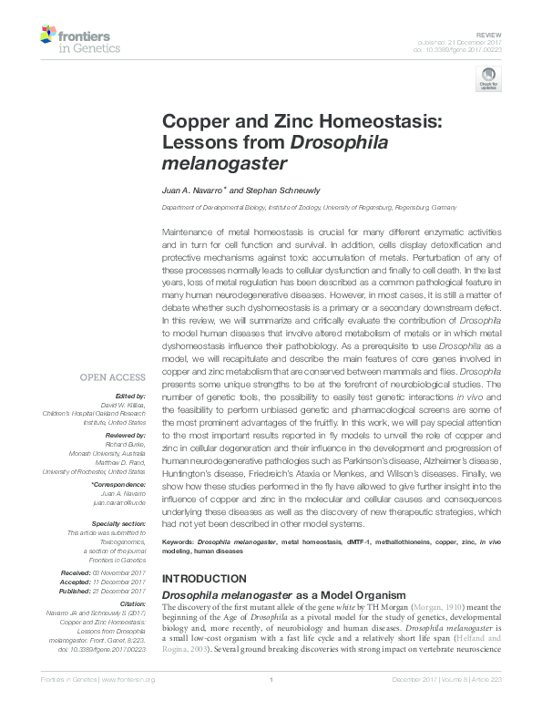 (PDF) Copper and Zinc Homeostasis Lessons from Drosophila melanogaster