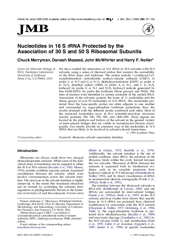 (PDF) Nucleotides in 16S rRNA protected by the association of 30S and ...