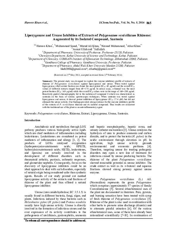 Urease essay 2 07 image