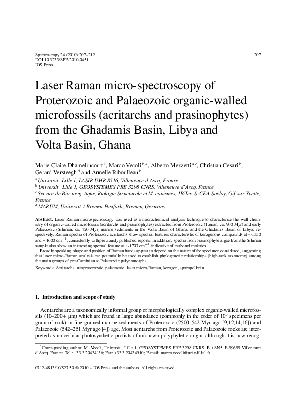(PDF) Laser Raman micro-spectroscopy of Proterozoic and Palaeozoic ...
