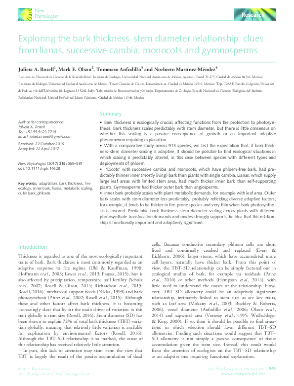 Conclusion of gymnosperms image