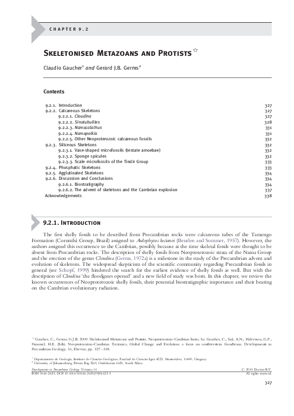 (PDF) Skeletonised Metazoans and Protists