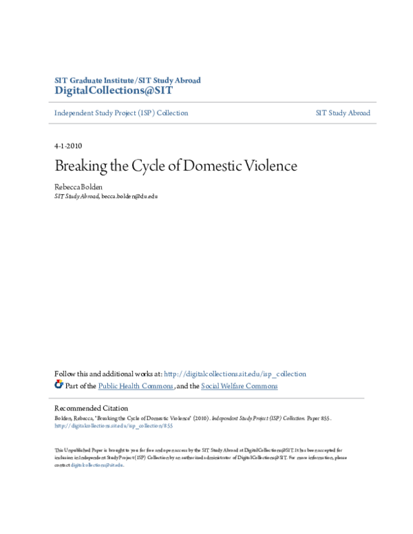 (PDF) Breaking the Cycle of Domestic Violence