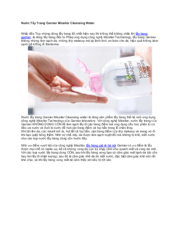 Garnier essay 07 image