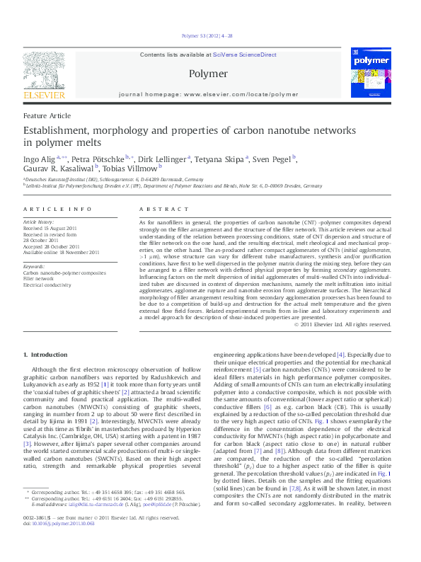 Establishment, morphology and properties of carbon nanotube networks in polymer melts