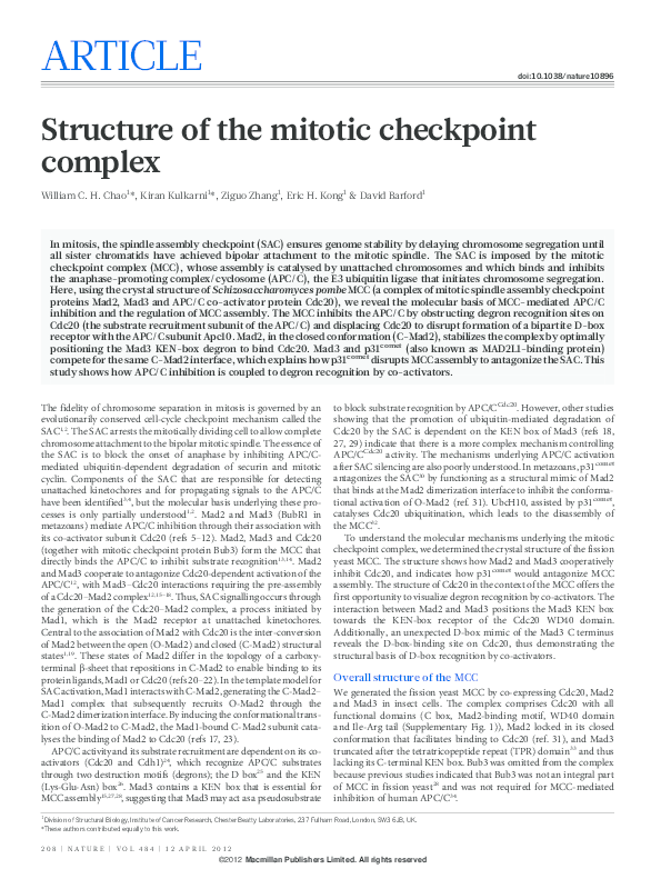 (PDF) Structure of the mitotic checkpoint complex | viviana dotolo ...