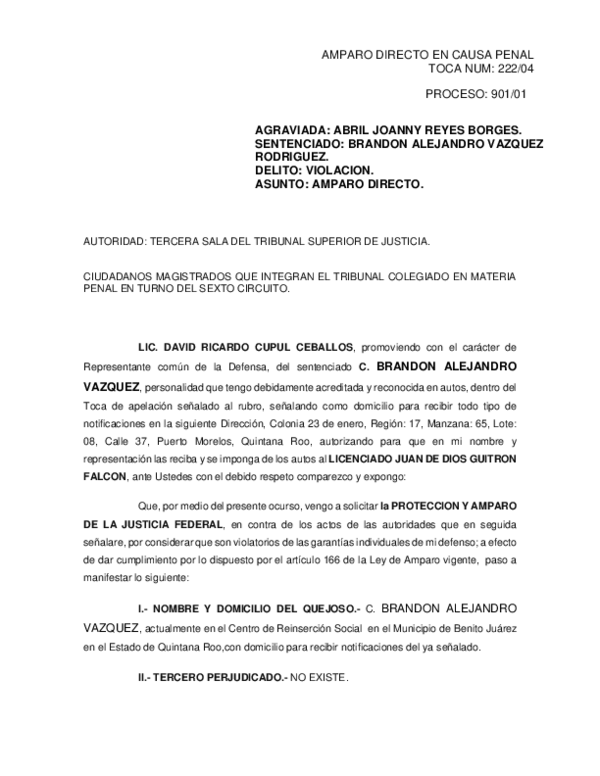 Essay ceballos 06 picture