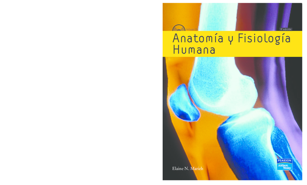 (PDF) Anatomia y Fisiologia Humana | Liliana Sanchez Quiroz - Academia.edu