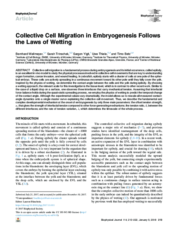 (PDF) Collective Cell Migration in Embryogenesis Follows the Laws of ...