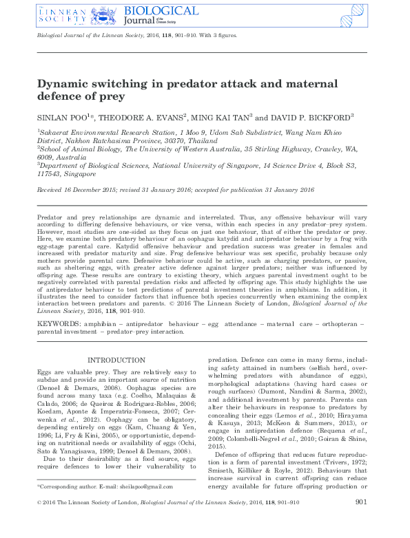 (PDF) Dynamic switching in predator attack and maternal defence of prey