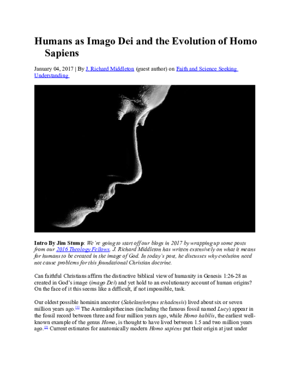 What was before homo sapien image