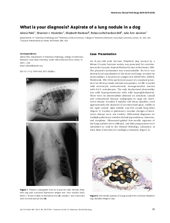 (PDF) What is your diagnosis ? Aspirate of a lung nodule in a dog