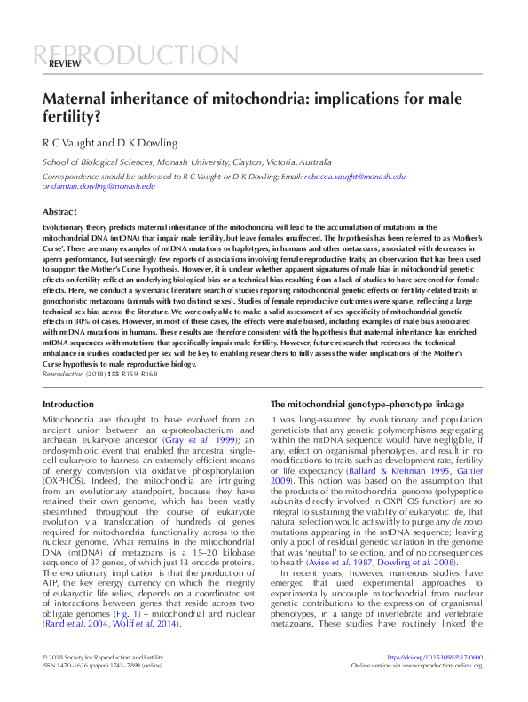 (PDF) Maternal inheritance of mitochondria: implications for male fertility