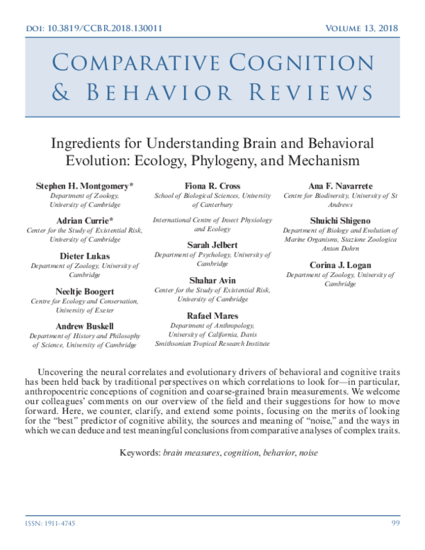 paper cover thumbnail