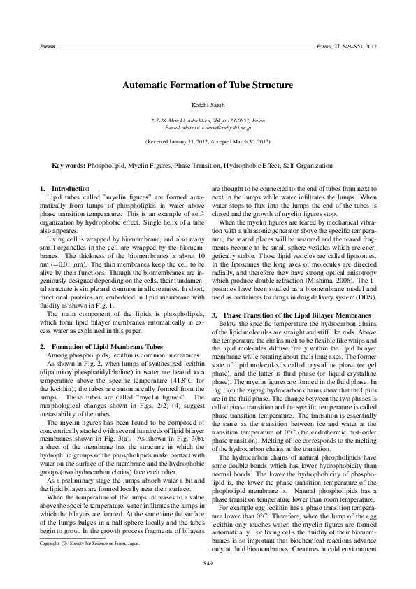 (PDF) Automatic Formation of Tube Structure