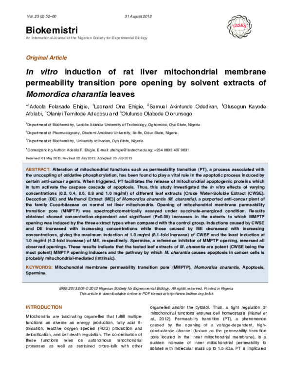 (PDF) In vitro induction of rat liver mitochondrial membrane ...