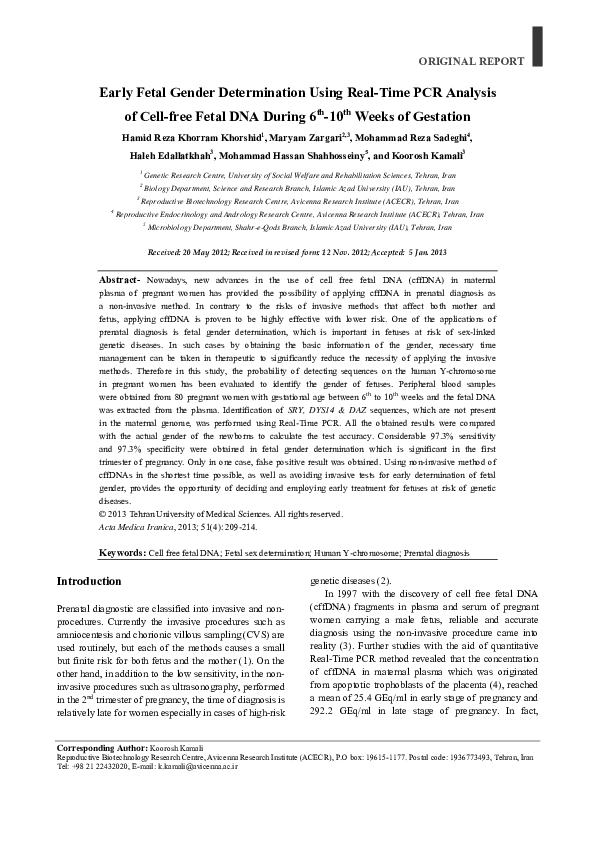 Your gender identity essay picture