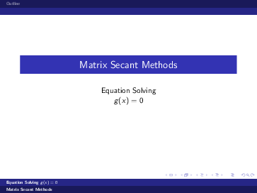 (PDF) Matrix Secant Methods