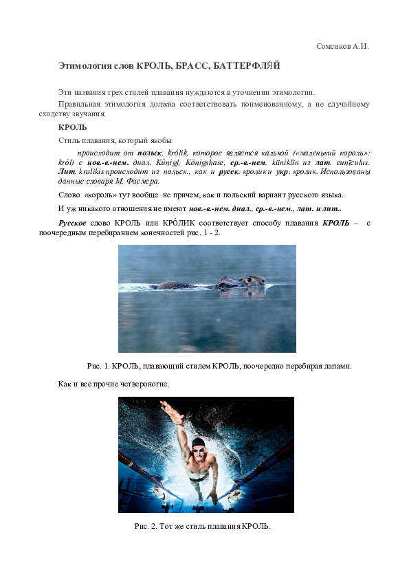 (PDF) Этимология слов КРОЛЬ, БРАСС, БАТТЕРФЛЯЙ | Александр Сомсиков ...