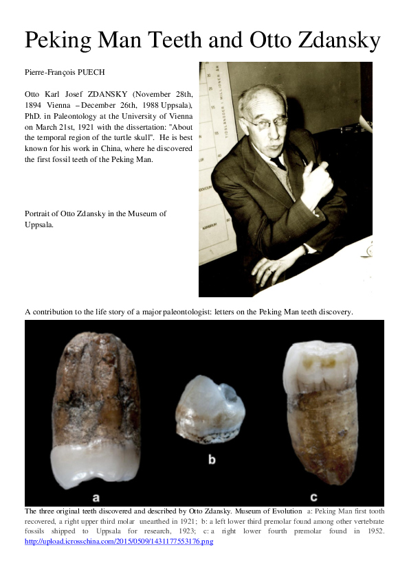 Peking man skull image