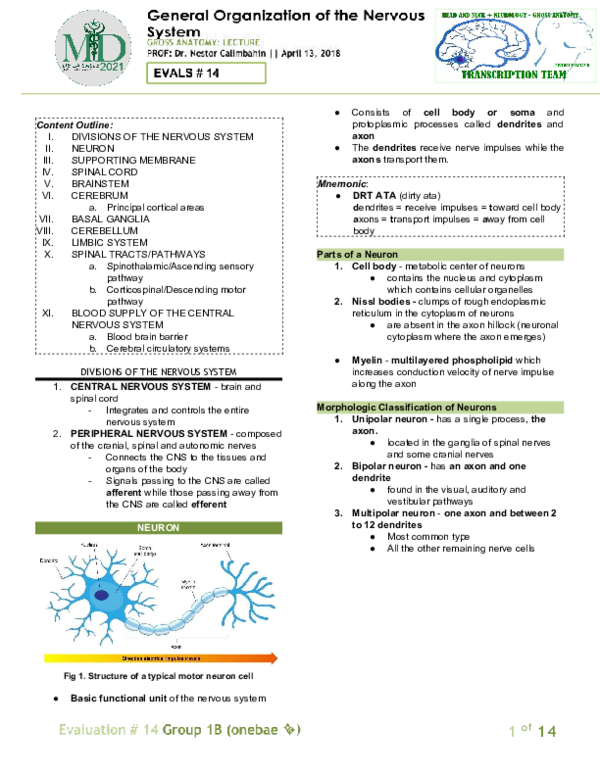 (PDF) .2 EDITED General Organization of the Nervous System (1)