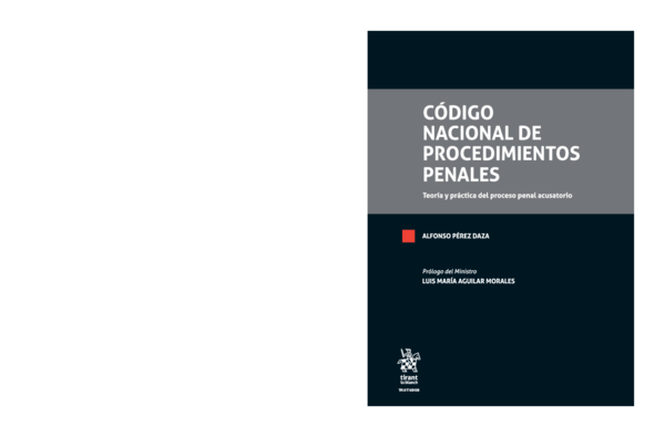 (PDF) Código Nacional de Procedimientos Penales. Teoría y Práctica