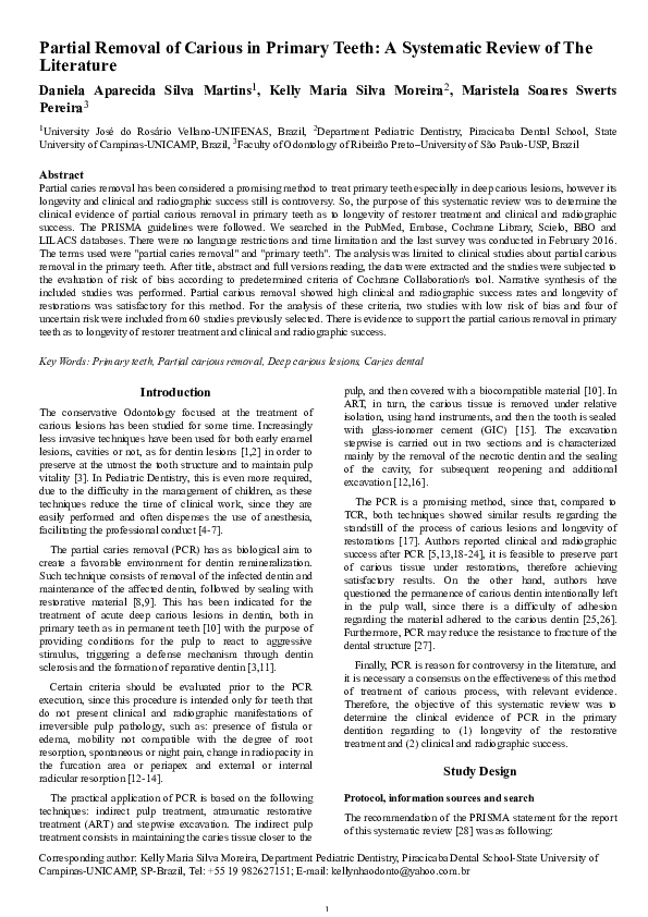 Literature review pdf image