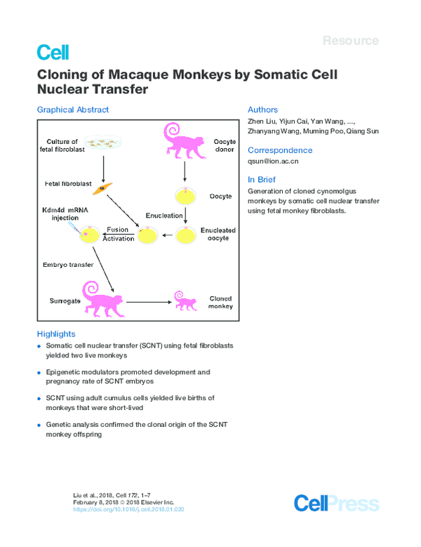 (PDF) Cloning of Macaque Monkeys by Somatic Cell Nuclear Transfer Rui