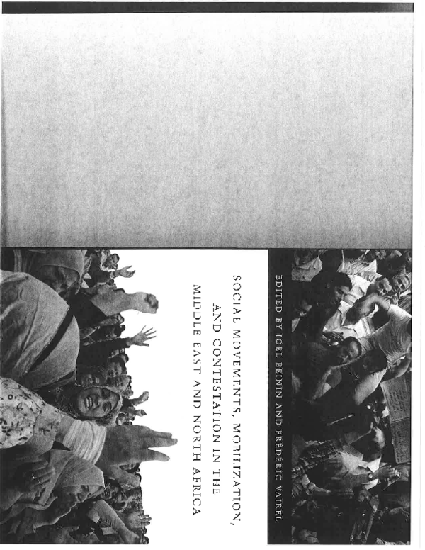 (PDF) Three Decades of Human Rights Activism in the Middle East and ...