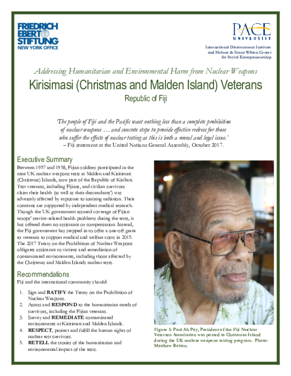 (PDF) Addressing Humanitarian and Environmental Harm from Nuclear